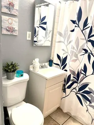 a bathroom with a toilet and a sink and a mirror at Cozy Urban Cottage in San Diego