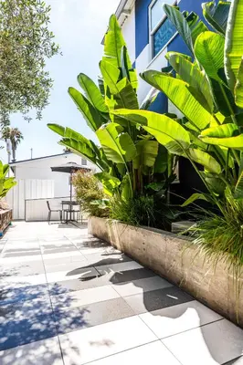 a patio with plants in front of a building at Simple La Jolla Epic bungalow #1 in San Diego