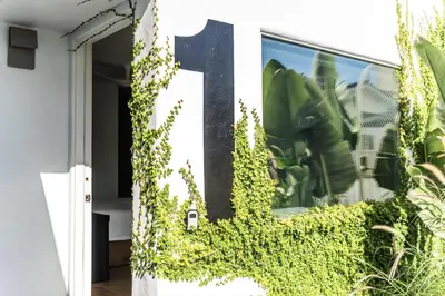 a door with a green ivy growing on it at Simple La Jolla Epic bungalow #1 in San Diego