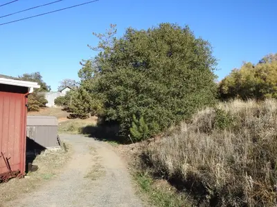 a dirt road next to a red building and a tree at Historic Gold Town Loft A-Frame 1 Bedroom with sofa sleeper WIFI in Julian