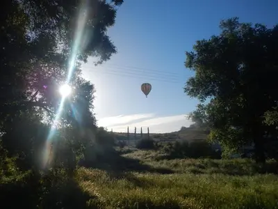 a hot air balloon in the sky over a field at Temecula Wine Country Ranch with 200 year old oaks in Temecula