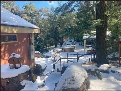 a snow covered yard with a shed with a picnic table at Cozy Cabin Hot Tub Sauna Fireplace in Palomar Mountain