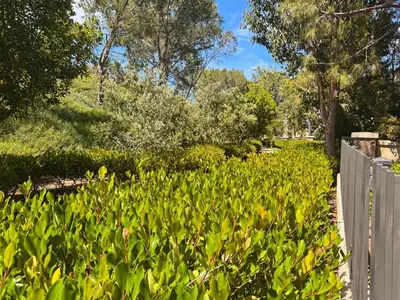a garden with green plants next to a fence at Newport Coast Bungalow in Newport Beach