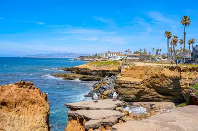 a group of birds sitting on rocks near the ocean at Walk to Ocean Beach Stylish 2BR Apt with Patio in San Diego