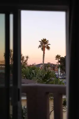 a view of a palm tree from a window at Walk to beach Prime location Villa in San Diego