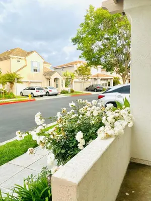 a retaining wall with white flowers on a street at Serene Beach Retreat in Encinitas