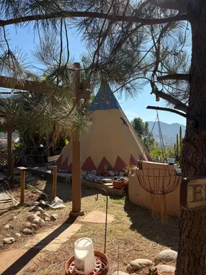 a large tent in a field with a tree at Mystic Canyon Inn Bed & Breakfast in El Cajon