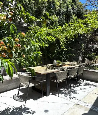 a table and chairs in a garden with trees at Entire home in La Jolla, CA in San Diego
