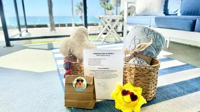 a basket of stuffed animals sitting on a rug in a living room at Location! Location! Location! Walk Everywhere! in Oceanside