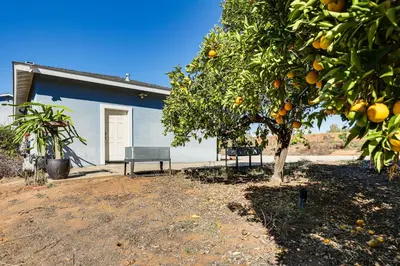 an orange tree and a bench in front of a house at Hike, Sip and Explore Couples Retreat in Fallbrook in Fallbrook