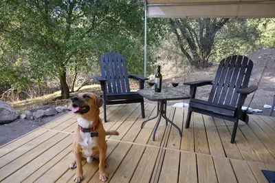 a dog sitting on a deck with a table and chairs at Boutique Nature Retreat in the Palomar Mountains in Pauma Valley