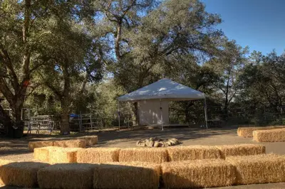 two dogs laying on the ground next to a tent at Boutique Nature Retreat in the Palomar Mountains in Pauma Valley