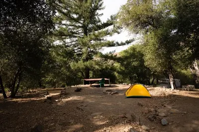a yellow tent in a park with a picnic table at Peaceful Mountain Tent Escape at Harrison Ranch in Pauma Valley