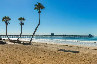 two palm trees on a beach with a pier at 5N-31 Beach View BBQ & Jacuzzi in Oceanside