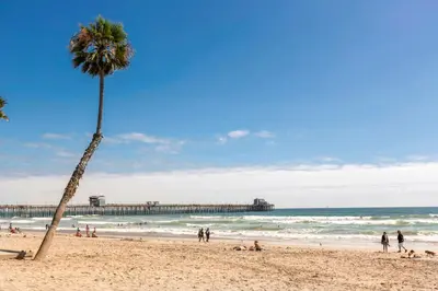 a palm tree on a beach with a pier at 5N-64 Beachfront On the Strand in Oceanside