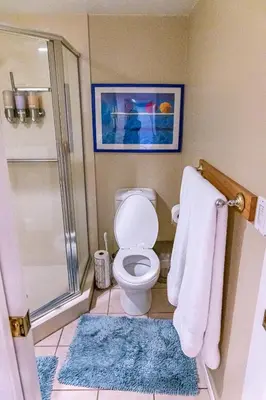 a bathroom with a toilet and a shower and a rug at Mission Bay Studio w Ocean Views from Rooftop Deck in San Diego