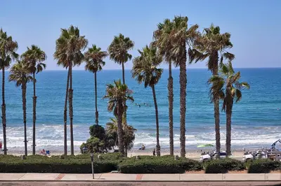 a group of palm trees on a beach with the ocean at 152-6 S Pacific Fantastic Ocean View in Oceanside
