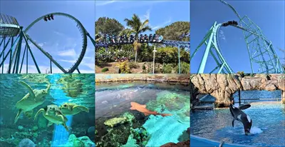 a collage of photos of a water park at Entire Private Studio with King Bed, Bathroom, 1 Parking, Available Now in Spring Valley
