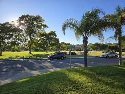 two cars driving down a street with a palm tree at Entire Private Home with 4 Bedrooms, Pool, Hot Tub, King Bed, Garage, Available Now in El Cajon