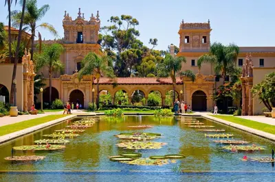a garden with lilies in the water in front of a building at Cozy Apt W Patio Bankers Hill SD in San Diego