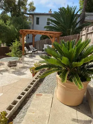 a patio with a potted plant and a wooden pergola at Apt in San Diego in San Diego