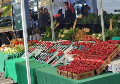 a display of fruits and vegetables at a farmers market at Central Spot - 4 Min to Waterpark, Dining & Shops in Vista