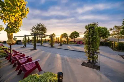 a row of benches in a park with trees at Marbella Lane - Elegant 5BR Home Rancho Mission in Ladera Ranch