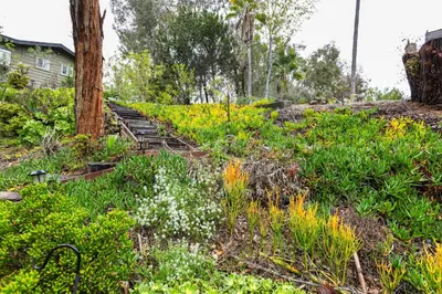 a garden with flowers on a hill with a house at Sip, Golf and Unwind Couples Retreat in Fallbrook in Fallbrook