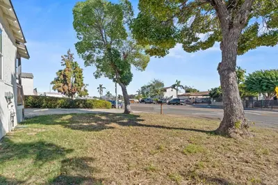 two trees on the side of a street at Palm Haven Retreat Cozy 2BR Near Downtown in San Diego