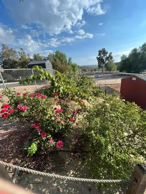 a garden with pink flowers in a fence at Amazing Ranch Home in Temecula wine country in Temecula