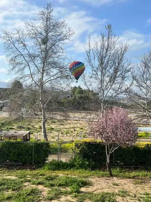 a kite flying in the sky over a field at Amazing Ranch Home in Temecula wine country in Temecula