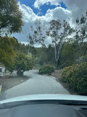 a view from a car of a road with trees at Beverlys Hilltop Retreat in Fallbrook