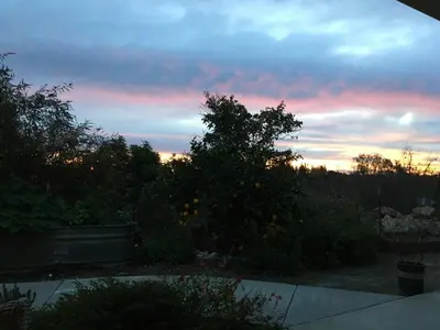 a sunset over a garden with a tree with oranges at Beverlys Hilltop Retreat in Fallbrook