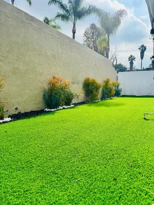 a green yard with a wall and palm trees at My Cozy Place in Mission Viejo