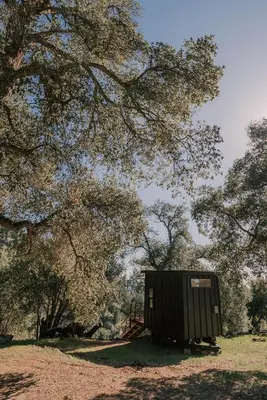 a black box sitting in the grass under a tree at Off-Grid Tiny Home Pacific Views & Serenity in Pauma Valley