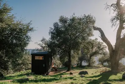 a small shack sitting in a field next to trees at Tiny Home Above the Clouds Pacific Views in Pauma Valley