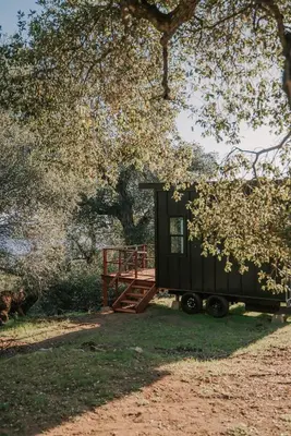 a green tiny house on wheels under a tree at Tiny Home Above the Clouds Pacific Views in Pauma Valley