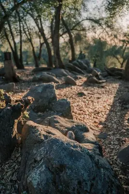 a group of rocks on the ground with trees in the background at Tiny Home Above the Clouds Pacific Views in Pauma Valley