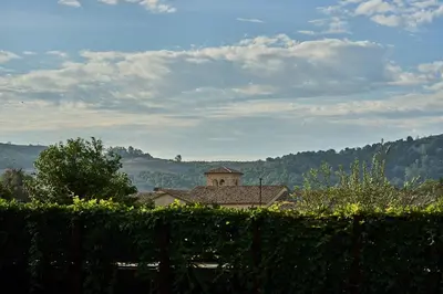 a house in a vineyard with a building in the background at Amazing Guest House near Monserate Winery with 360 Mountain Views in Fallbrook