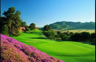 a green golf course with flowers in the foreground at Amazing Guest House near Monserate Winery with 360 Mountain Views in Fallbrook