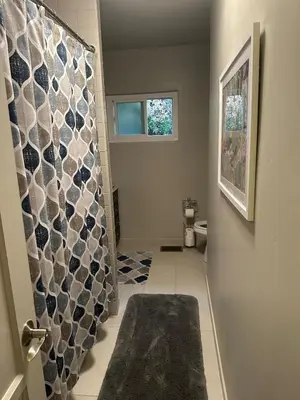 a bathroom with a shower with a toilet and a rug at 2BR Cozy Quiet Getaway, Great Mattress in El Cajon