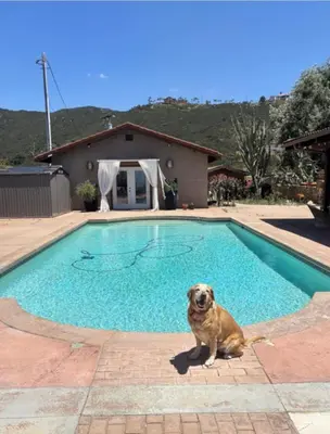 a dog is sitting in a swimming pool at Painted sky casita in San Diego