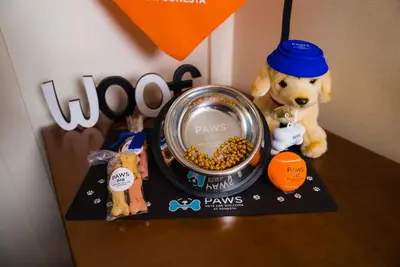 a stuffed bear sitting next to a bowl of dog food at Sonesta Simply Suites Irvine Spectrum in Irvine