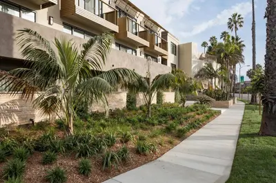 a sidewalk in front of a building with palm trees at Holiday Inn Express and Suites La Jolla - Windansea Beach, and IHG Hotel in San Diego