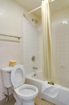 a bathroom with a toilet and a shower and a tub at Heritage Inn La Mesa in La Mesa