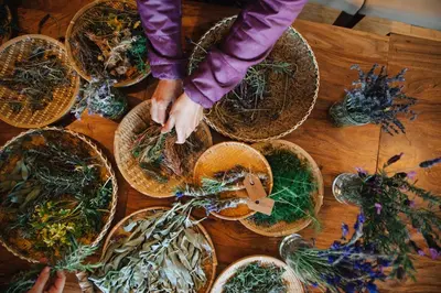a person standing on a wooden table with baskets of plants at Inn at Moonlight Beach in Encinitas