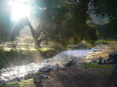 a river with the sun shining through a tree at Pio Pico Camping Resort Studio Cabin 10 in Jamul