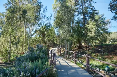 a path in a park with trees and flowers at Pio Pico Camping Resort One-Bedroom Cabin 14 in Jamul