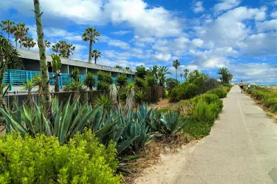 a path next to a building with palm trees at Ocean Villa Inn in San Diego