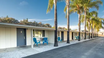 a row of houses with blue chairs and palm trees at Fallbrook Country Inn in Fallbrook